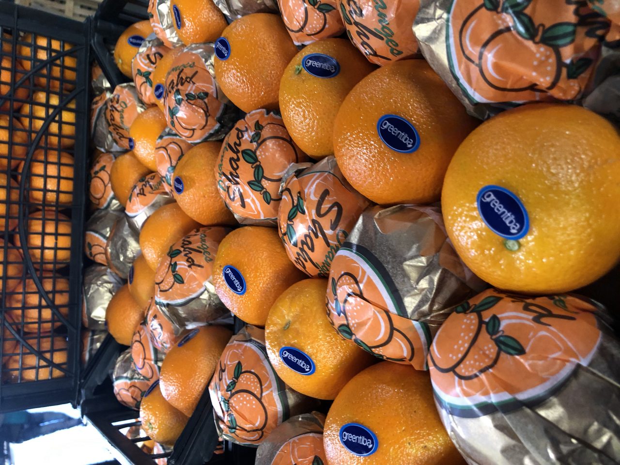 Valencia Oranges Green Tiba